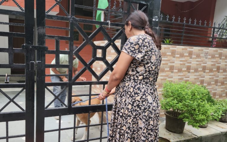 सेक्टर 11 स्ट्रीट डॉगस का हुआ टीकाकरण