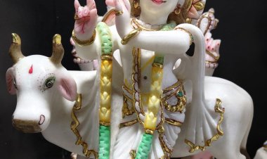 26 अक्टूबर को होगा नोएडा के पहले गौ माता मंदिर का उद्घाटन