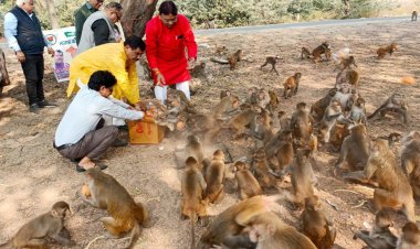 वानर भोज कराकर के किया खुशी का इजहार