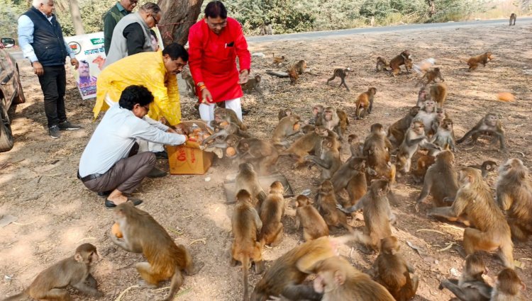 वानर भोज कराकर के किया खुशी का इजहार