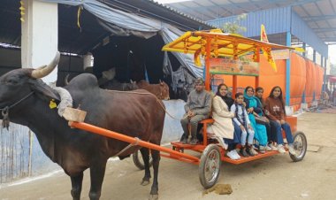 श्रीजी गौसदन का विशेष रथ बना आकर्षण का केंद्र