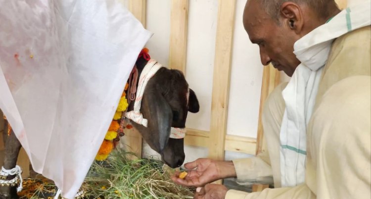 ‘गौ आंगन’, राधा की प्रेरणा से जन्मा देश का पहला काफ कैफे