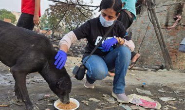 Animals Rescued from Ghaziabad Fire by PETA India