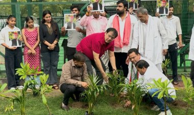 अखिलेश यादव के जन्मदिवस पर सात दिवसीय वृक्षारोपण अभियान संपन्न 